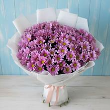Букет цветов из:  Хризантемы в Лермонтове